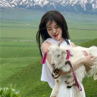 玉美人 海报